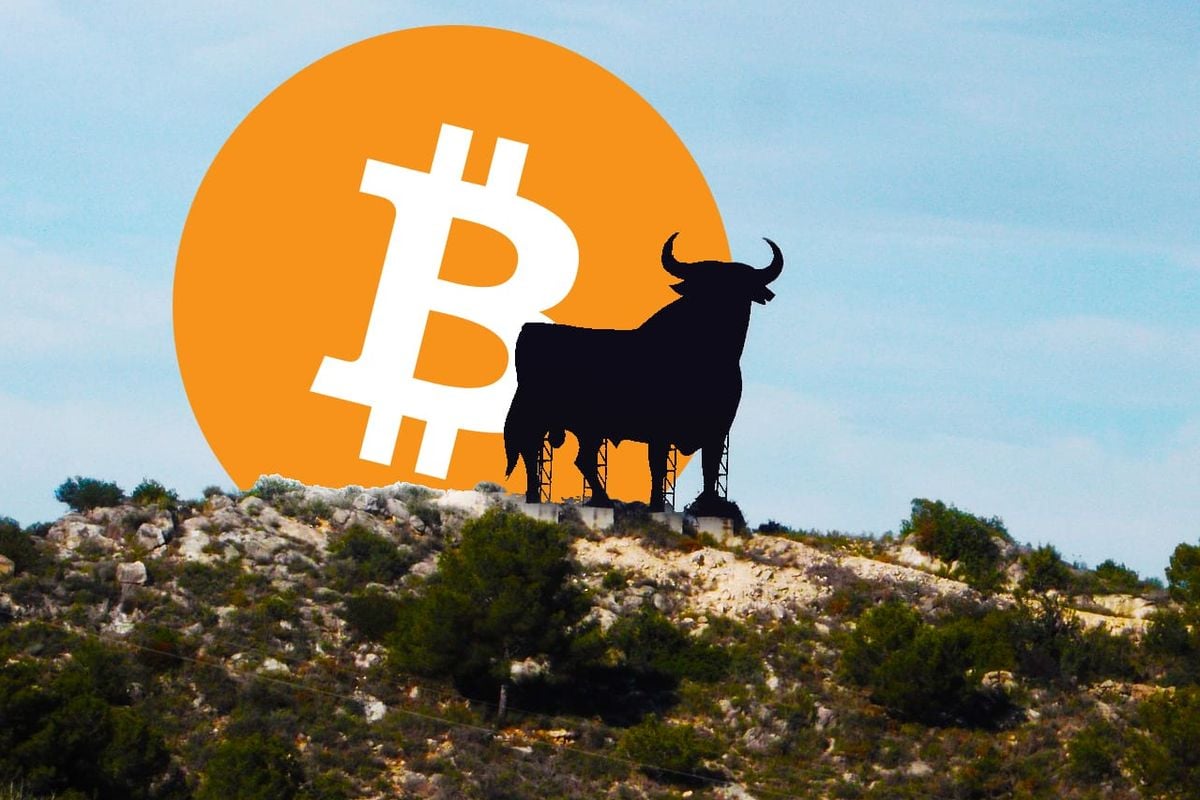 bitcoin bullmarkt