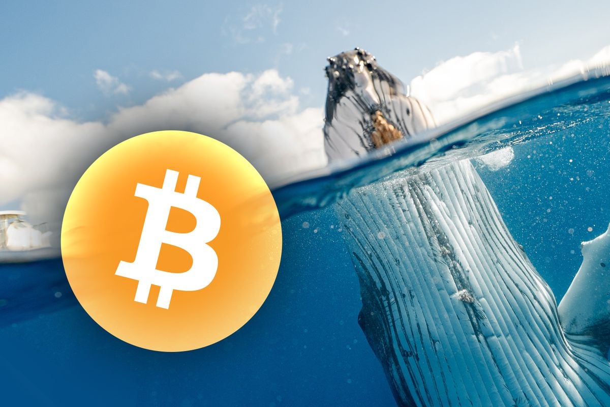 bitcoin BTC crypto
