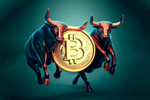 bitcoin bullrun