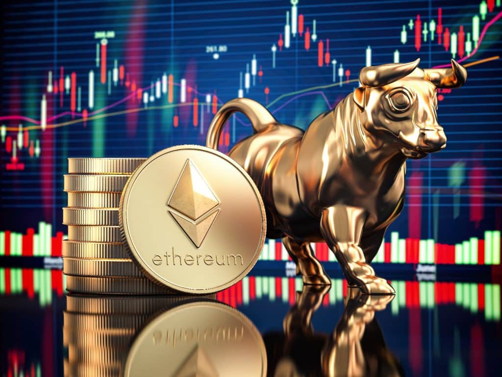 crypto bull run