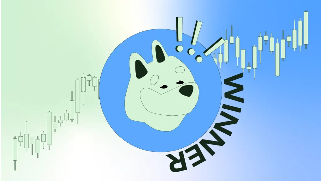 Bonk meme coin