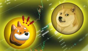 DOGE en BONK in nieuwe crypto meme rally