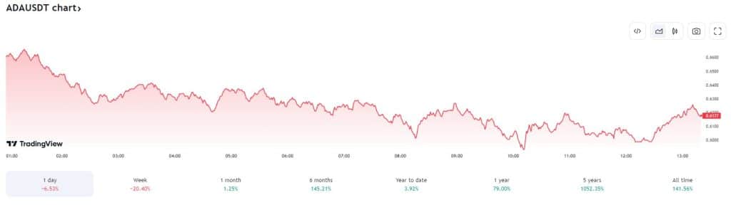 cardano 19-3