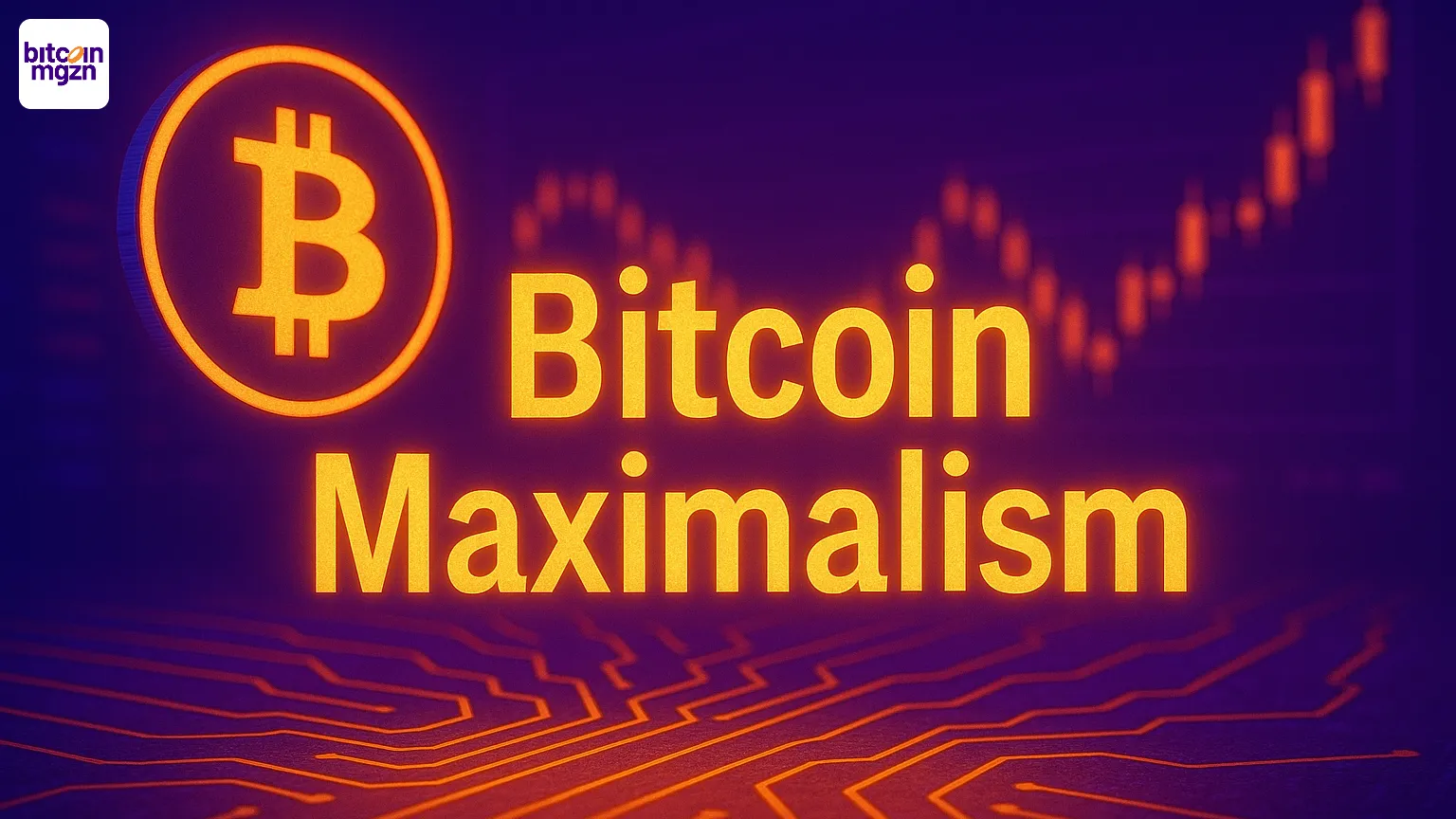 Bitcoin maximalism
