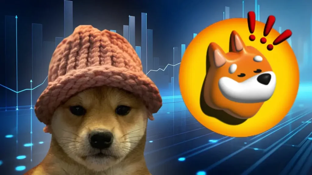 bonk dogwifhat