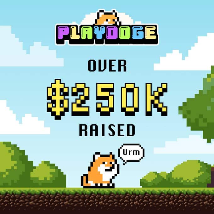PlayDoge: een unieke investering