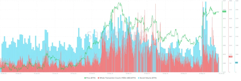 Ethereum whale transacties