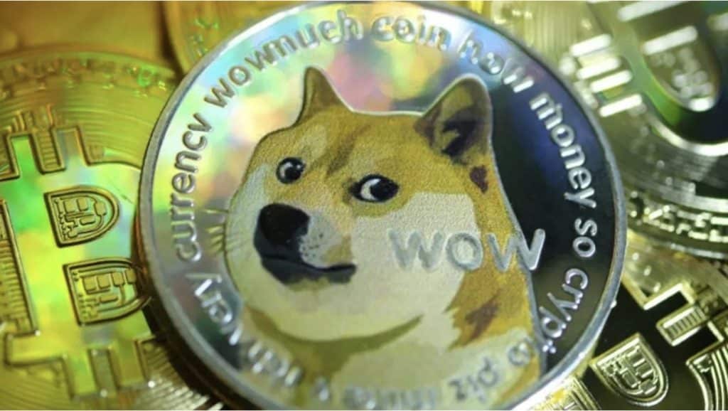 Doge2014