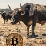 bitcoin bull koers