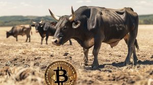 bitcoin bull