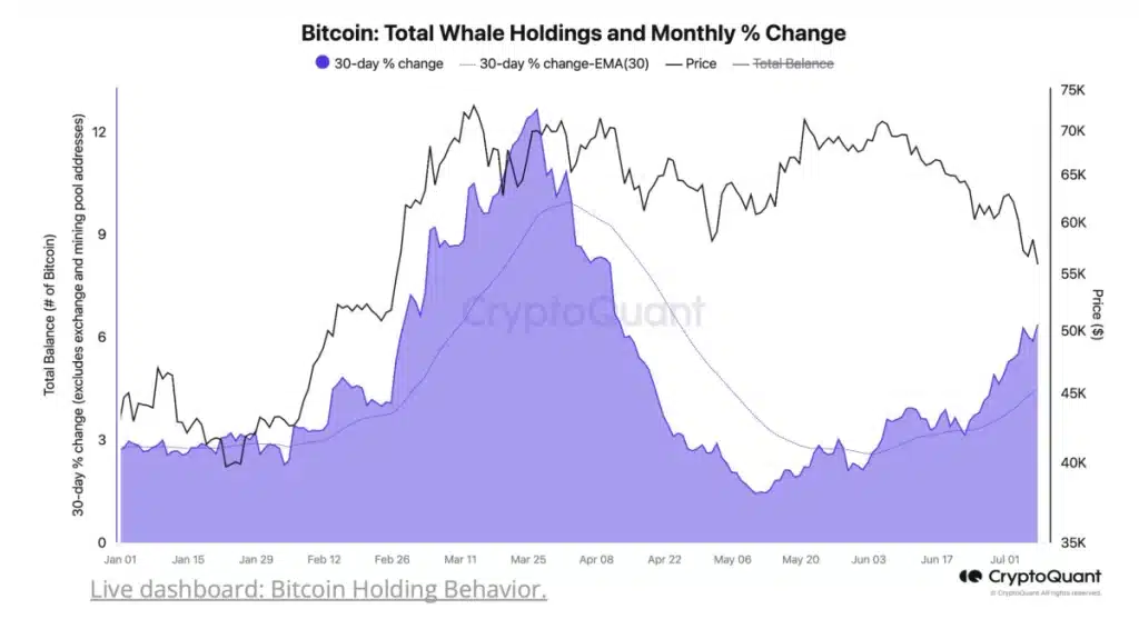 whales