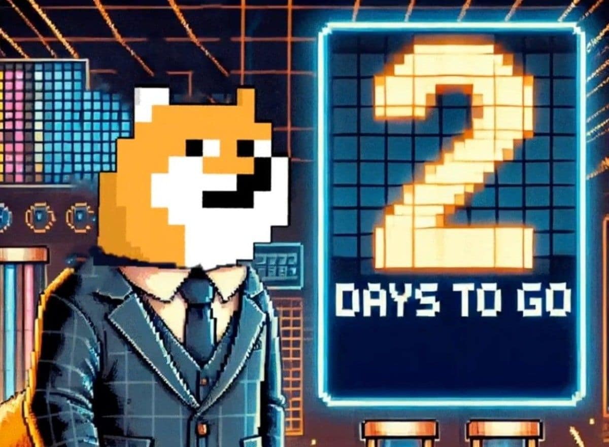 PlayDoge ($PLAY) presale loopt af over twee dagen