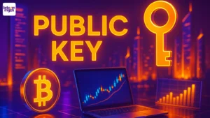 Public key