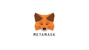 MetaMask: Wat je moet weten over veiligheid en gebruikersgemak in 2024