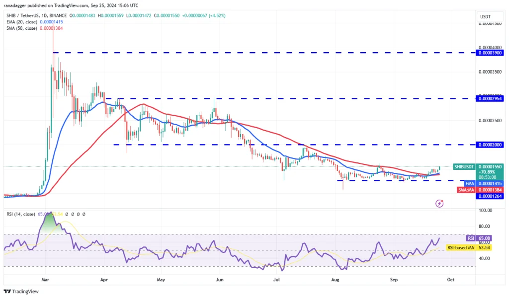 SHIB/USDT dagelijkse grafiek. Bron: TradingView