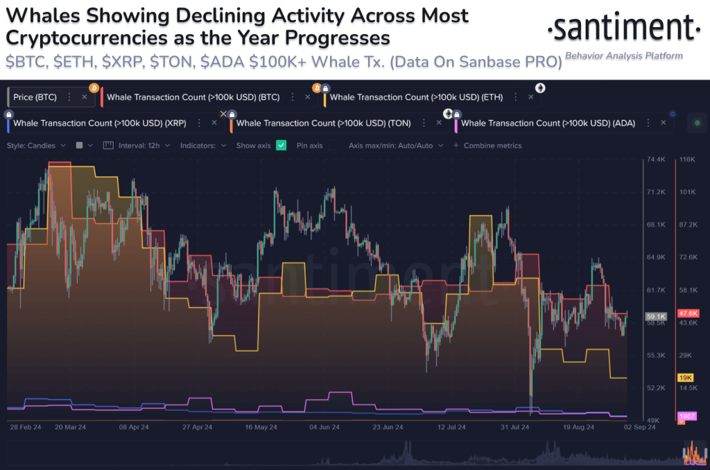 Crypto whale activiteit