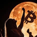 koers daling bitcoin moon