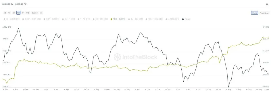 BTC-balans per holding laat zien dat whales 20,3% van de circulerende voorraad controleren. | Bron: IntoTheBlock Balance By Holdings Chart