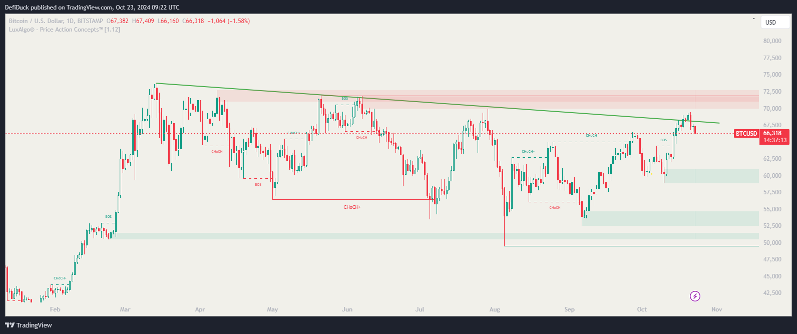 Bitcoin Price Chart Showing Key Resistance at $67,000 and Pullback Levels