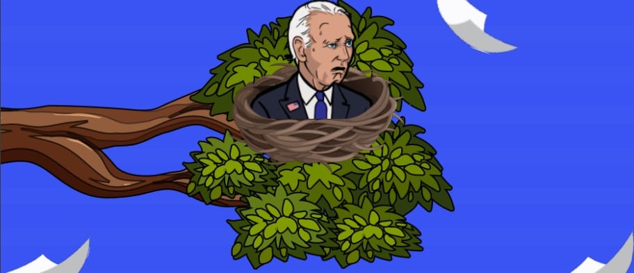 Freedum fighters joe biden vogelnest