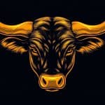 bull bitcoin koers prijs