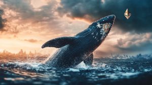 Crypto whale gaat $48 miljoen winnen bij verkiezingsoverwinning Trump