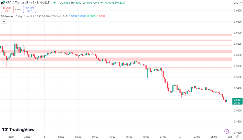 ripple koers support