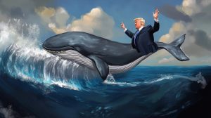 whale polymarket trump