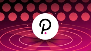 Polkadot 2024- Groei in transactievolume en Nakamoto coëfficiënt van 132