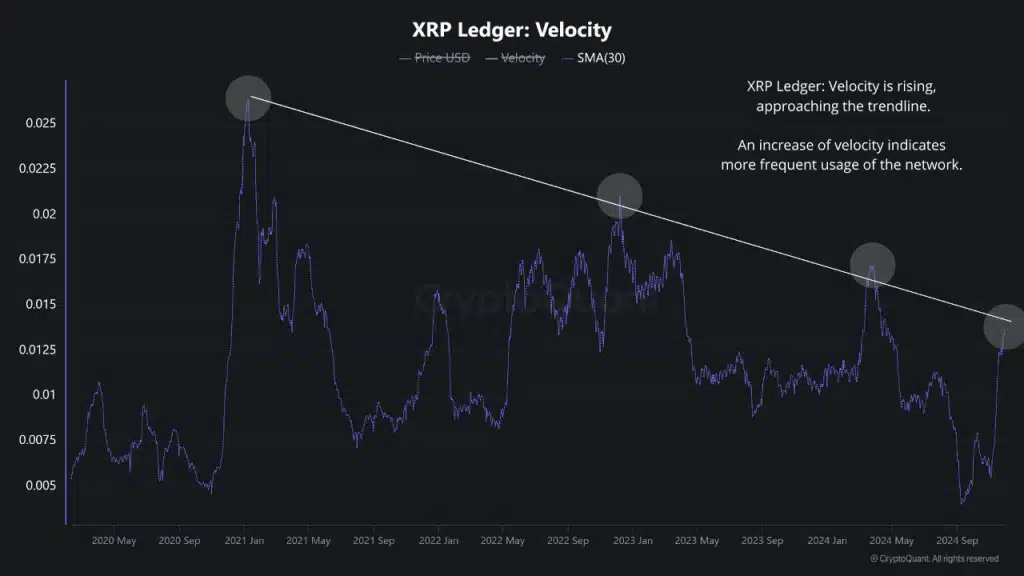 XRP velocity