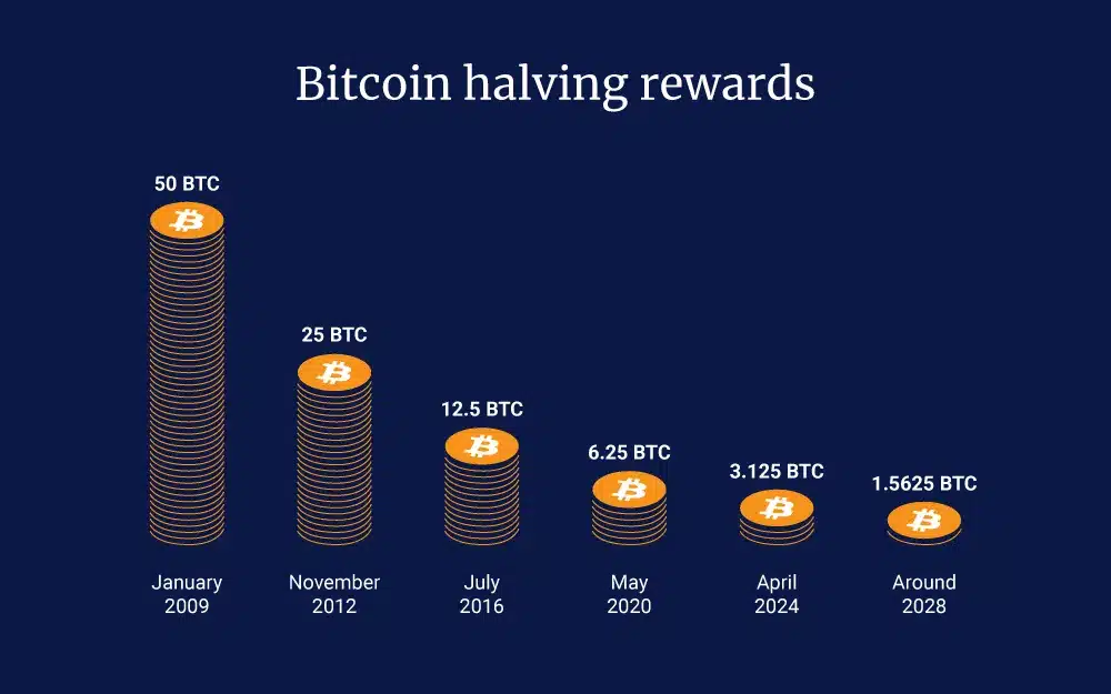 halving rewards bitcoin