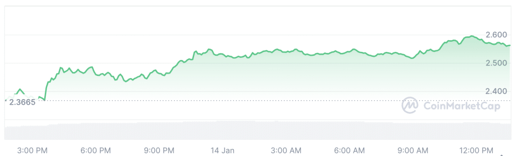 wat gaat ripple doen