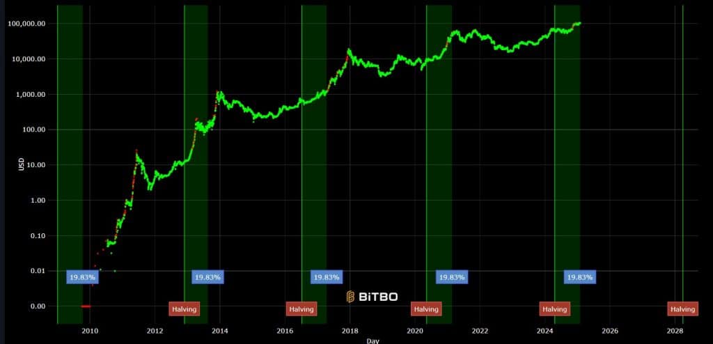 bitcoin halving cycles bitbo 31-1