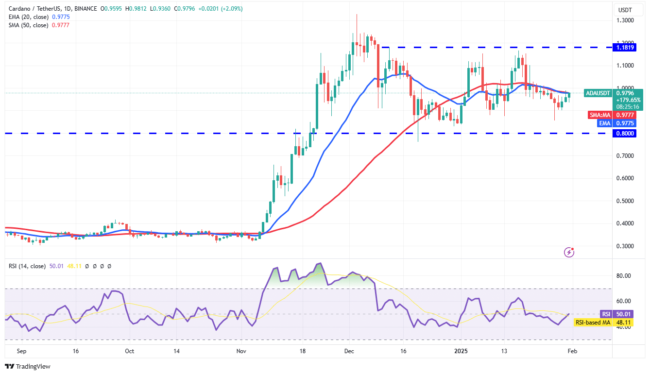 ADA/USDT daily chart. Source: TradingView