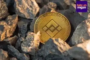 Binance Coin BNB CAKE Pancakeswap