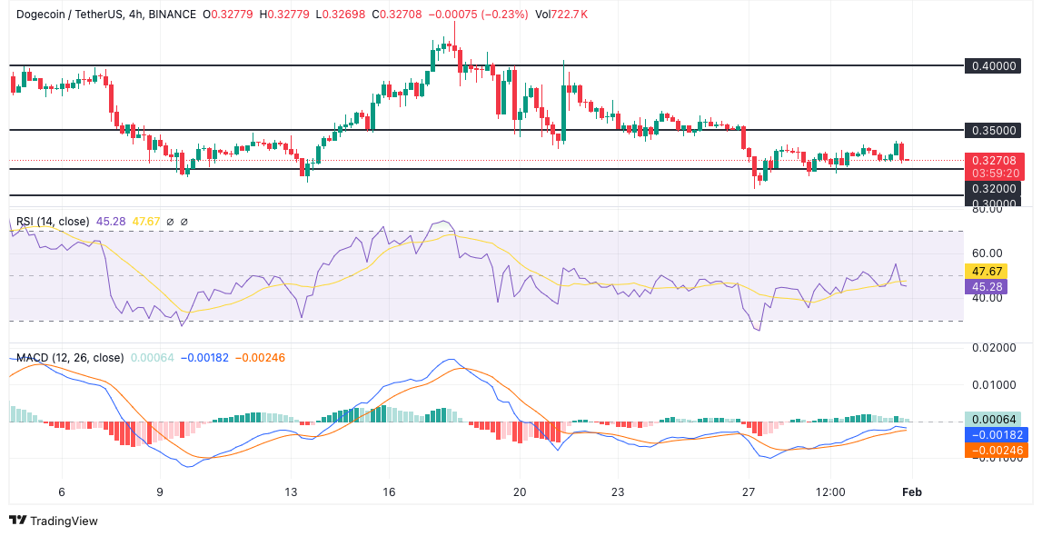 Dogecoin Price Chart: TradingView