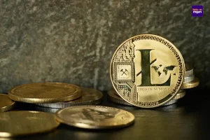 Litecoin ETF van Canary Capital genoteerd bij DTCC