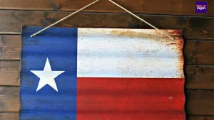 Texas zet nieuwe stap richting officiële Bitcoin-investeringen, Senaat aan het woord