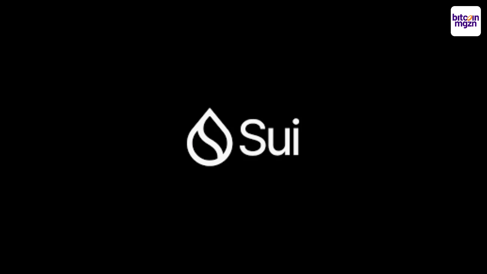 SUI hack