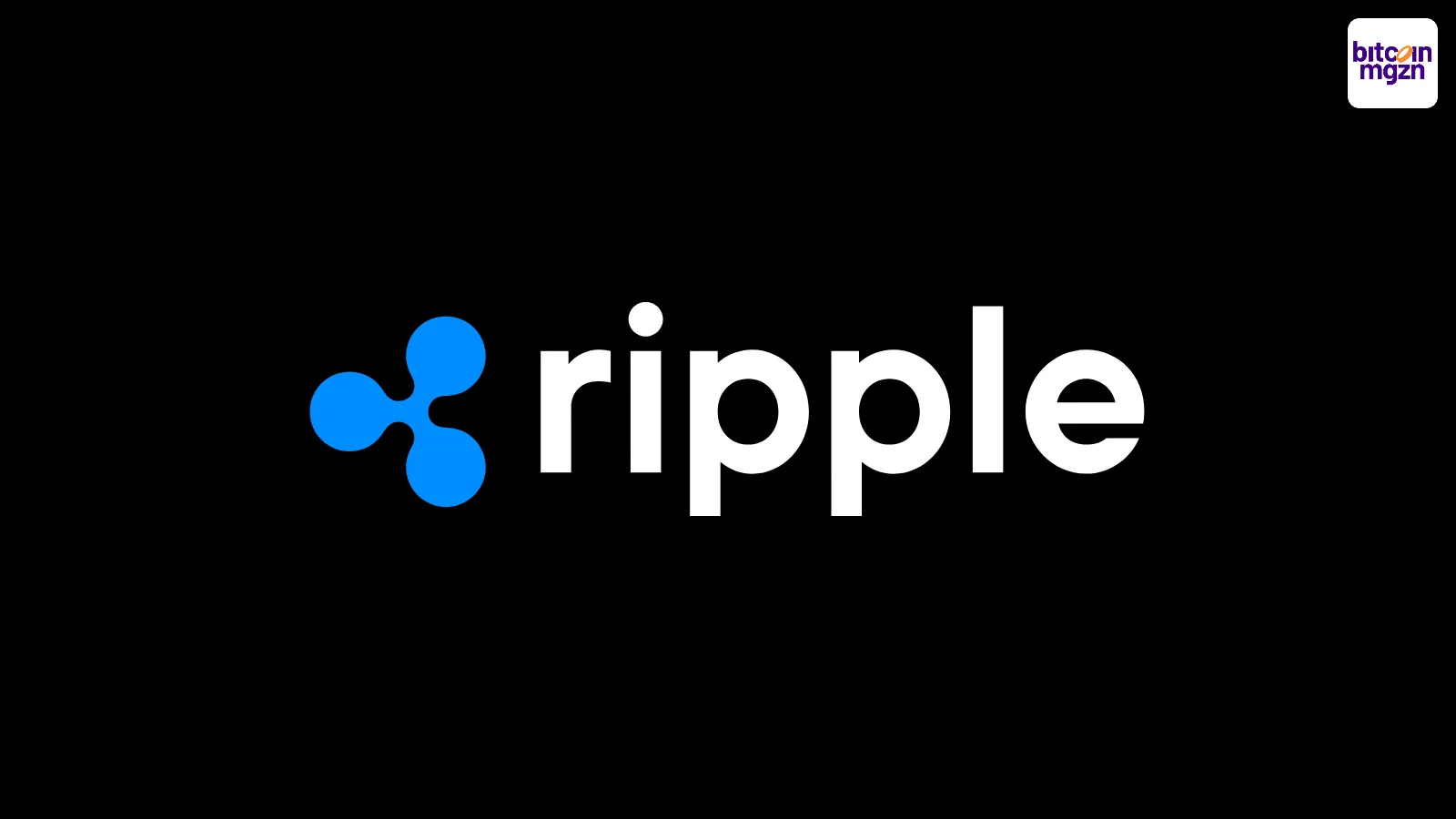 Ripple CEO reageert scherp op uitstel meeting Senator Lummis