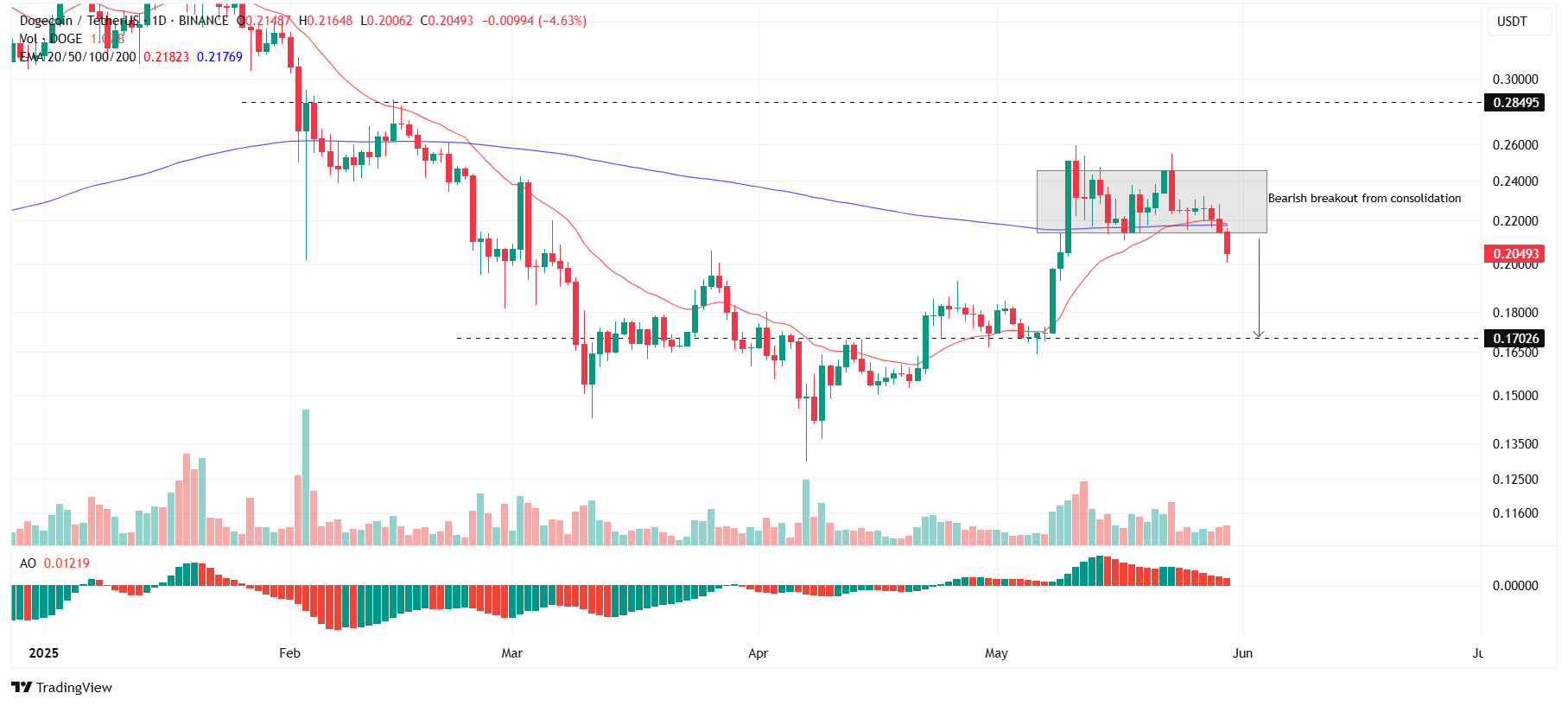 DOGE/USDT: 1-day Chart