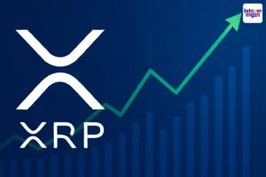 XRP breekt records in whale-activiteit: wat nu?