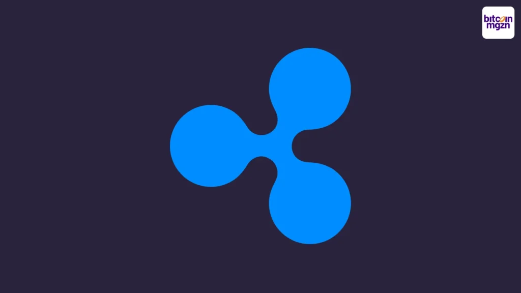 XRP breekt records in whale-activiteit: wat nu?