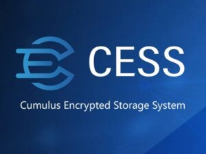 CESS Network wint momentum: waarom nu aandacht?