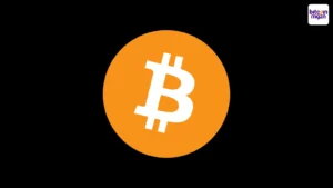 Bitwise CIO: “Zakelijke Bitcoin adoptie nog maar net begonnen”