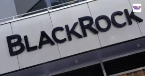 BlackRock gaat eigen XRP-fonds op de markt brengen, volgens expert