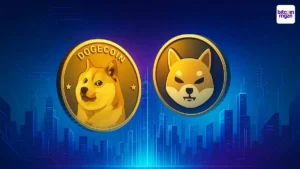 Meme-coins herleven, beleggers enthousiast