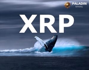 Maximaliseer je inkomsten door Ripple (XRP) te traden en verdien $ 7377 per dag met PaladinMining