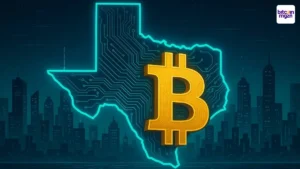 Texas legaliseert publiek Bitcoin fonds