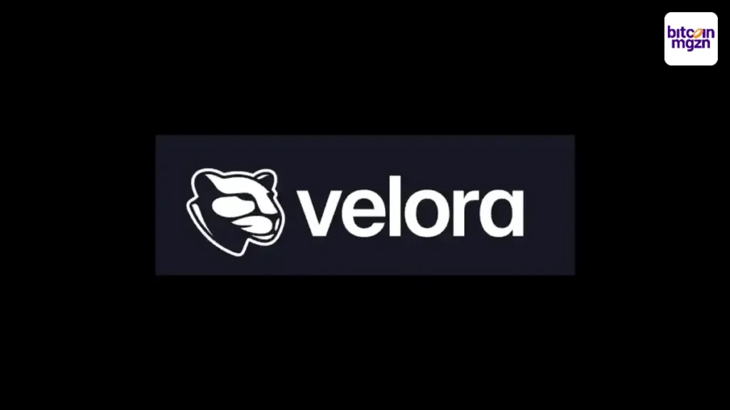 Velora breidt uit met VLR-token en Base ondersteuning